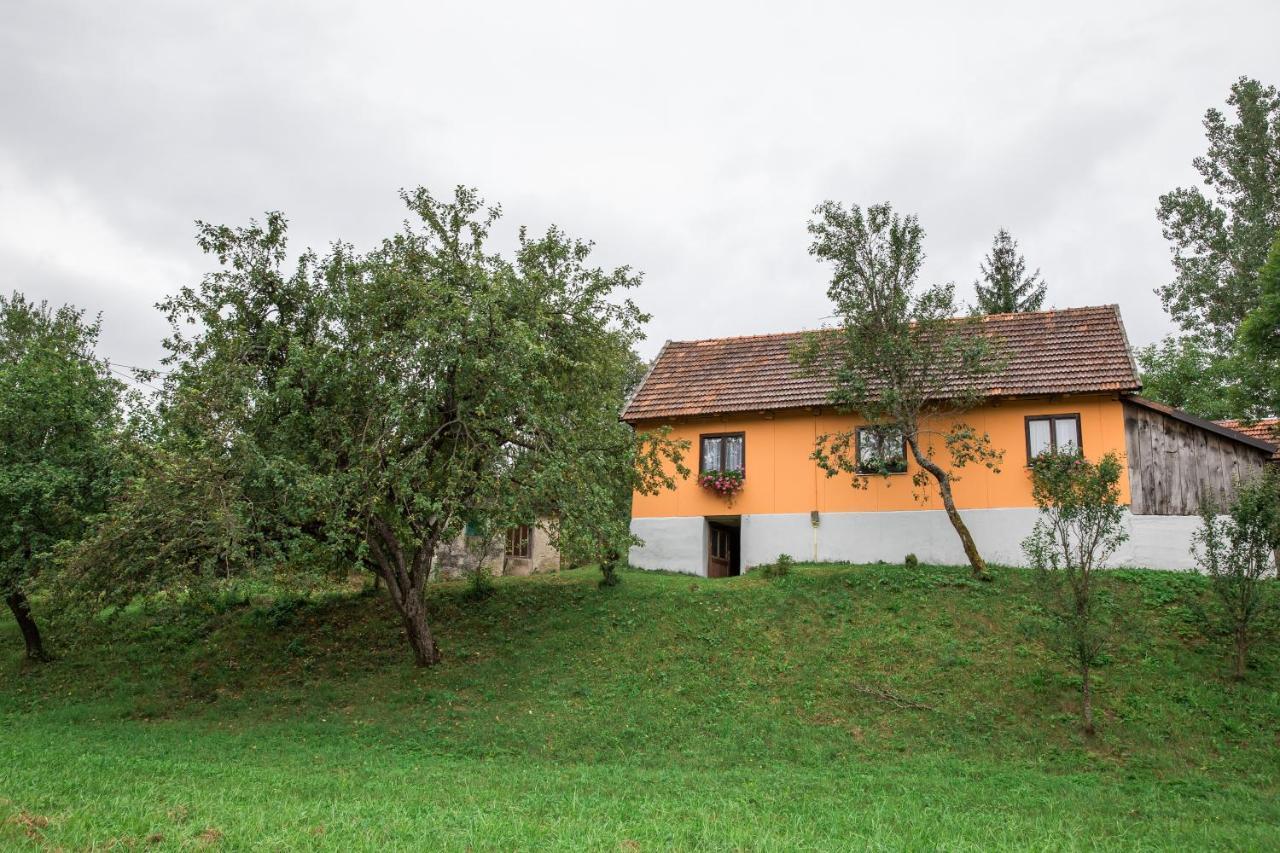 Kuca Za Odmor Jagnjic Apartment Josipdol Exterior photo